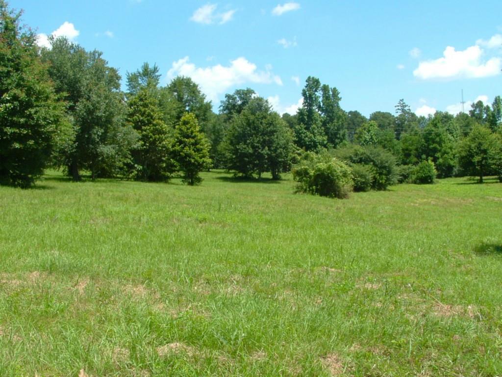 60198 Smiling Acrs Road Amite, LA 70422 - Photo 7 of 20