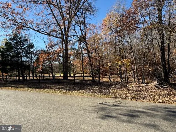 a view of a yard with trees