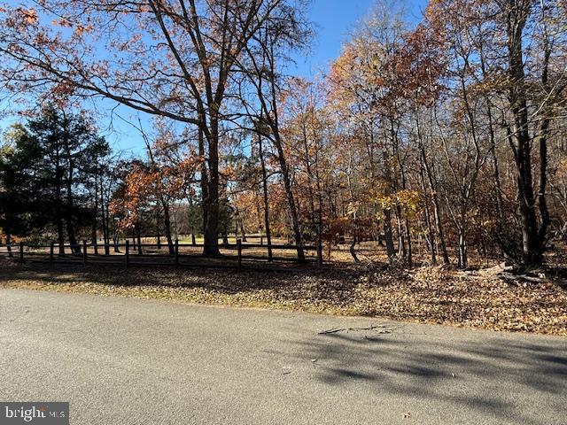 a view of a yard with trees