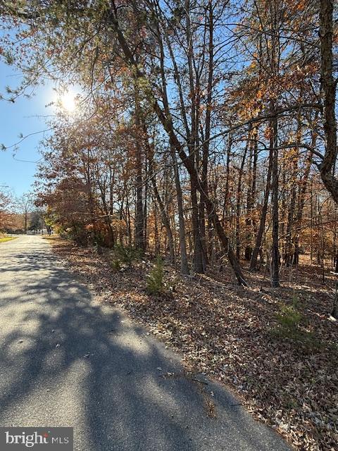 15413 Main Boulevard Accokeek, MD 20607 - Photo 2 of 8 a view of forest