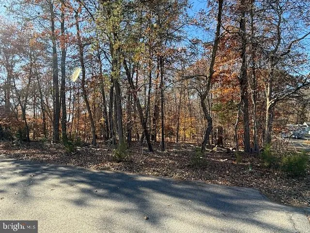 a view of a yard with trees