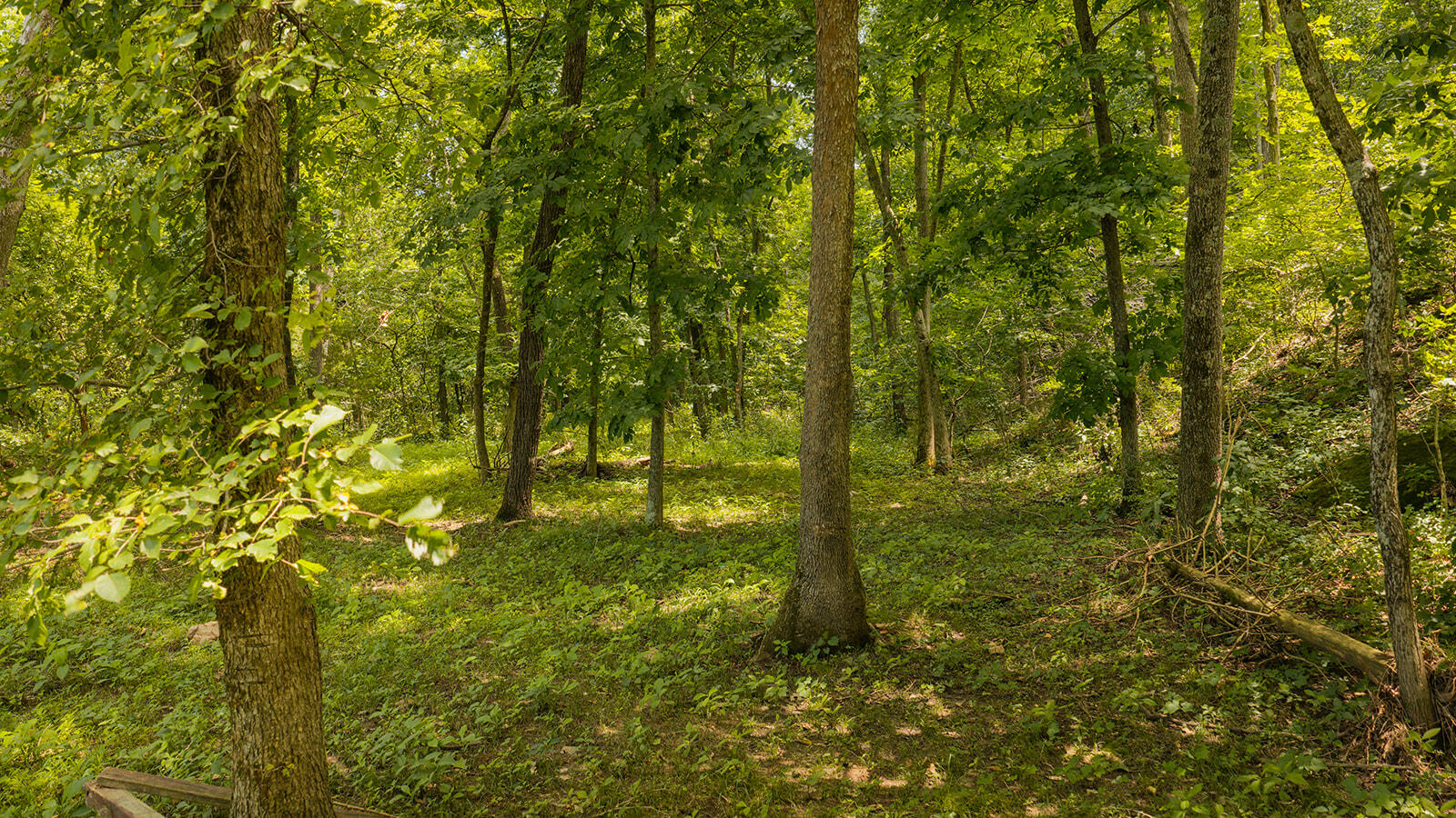 4164 South 77th Road Bolivar, MO 65613 - Photo 80 of 90 DJI_20260721131300_0217_D
