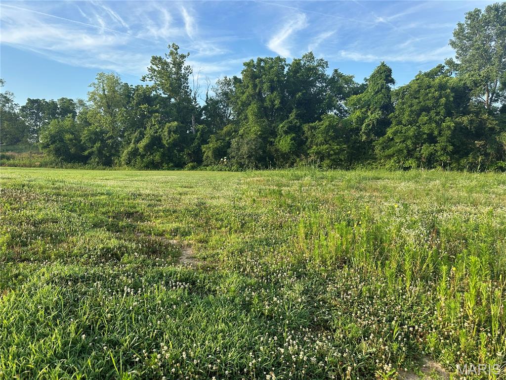 0 Highway 72 Jackson, MO 63755 - Photo 4 of 18