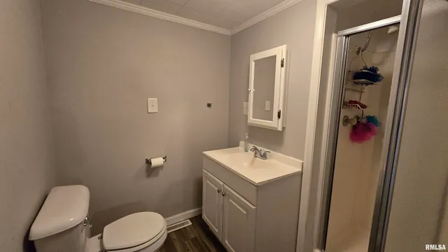 a bathroom with a sink vanity mirror and toilet