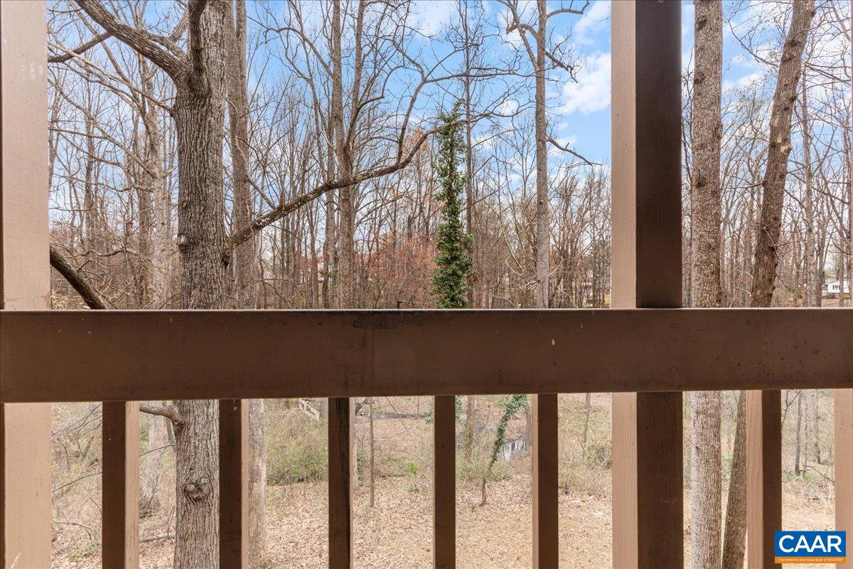 113 Turtle Creek Road, Unit 6 Charlottesville, VA 22901 - Photo 28 of 33 a view of tree from a balcony