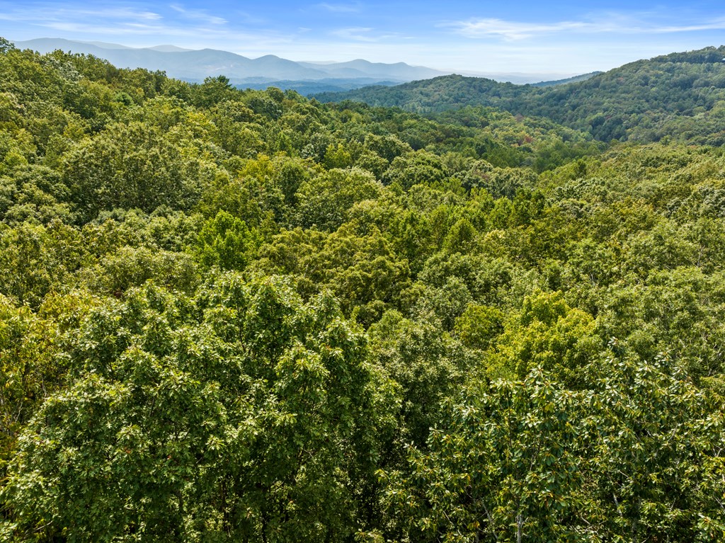 23 B Lake View Road Ellijay, GA 30540 - Photo 5 of 13 a view of a lush green forest with lush green forest