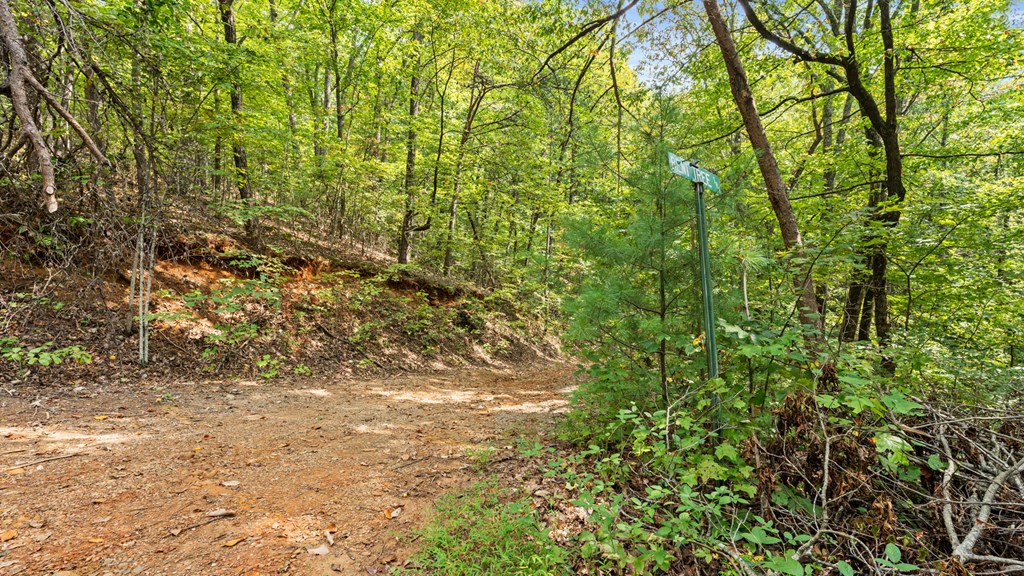 23 B Lake View Road Ellijay, GA 30540 - Photo 7 of 13 a view of a yard
