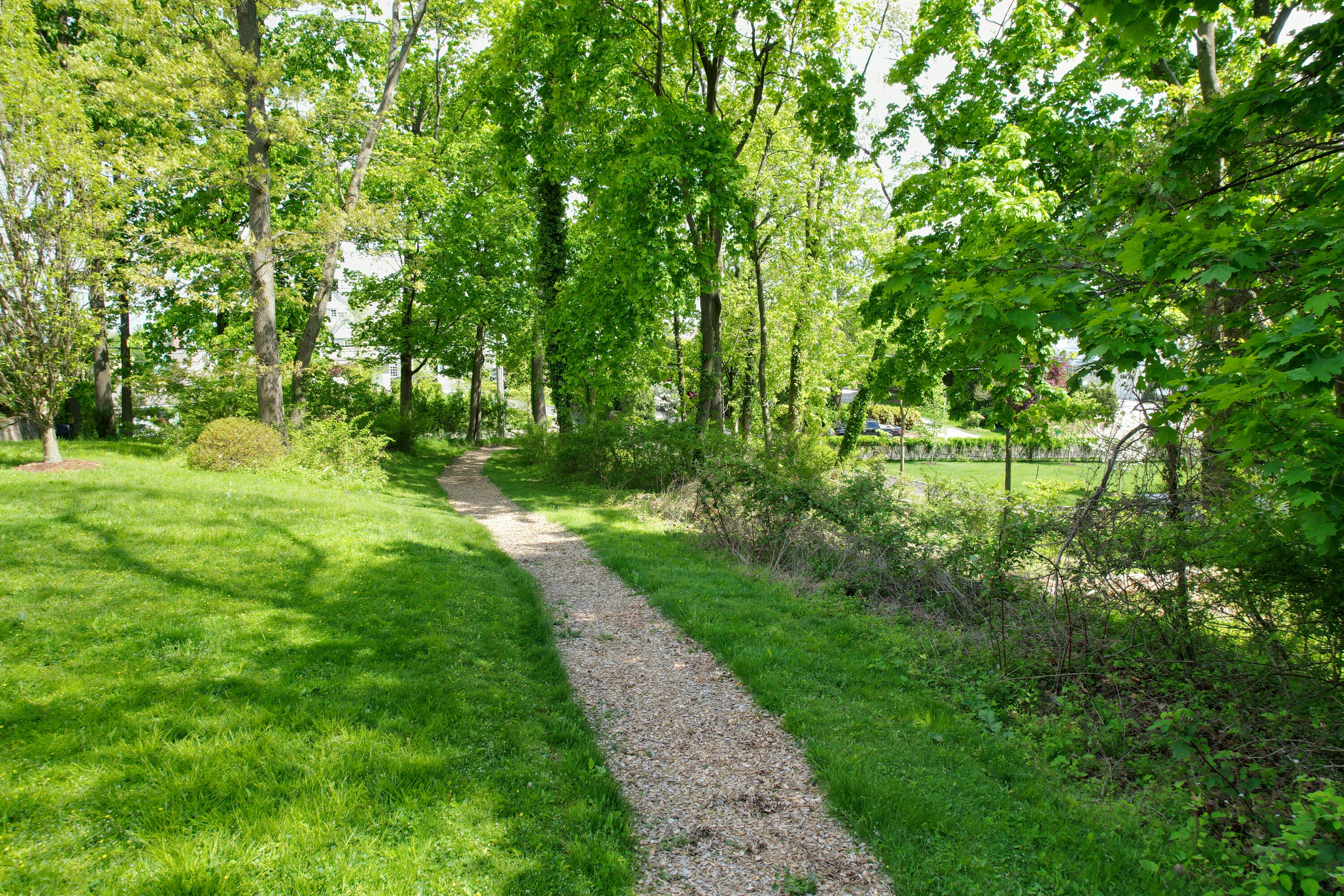 11 Harbor Bluff Lane Rowayton, CT 06853 - Photo 30 of 31 a big yard with lots of green space and deers