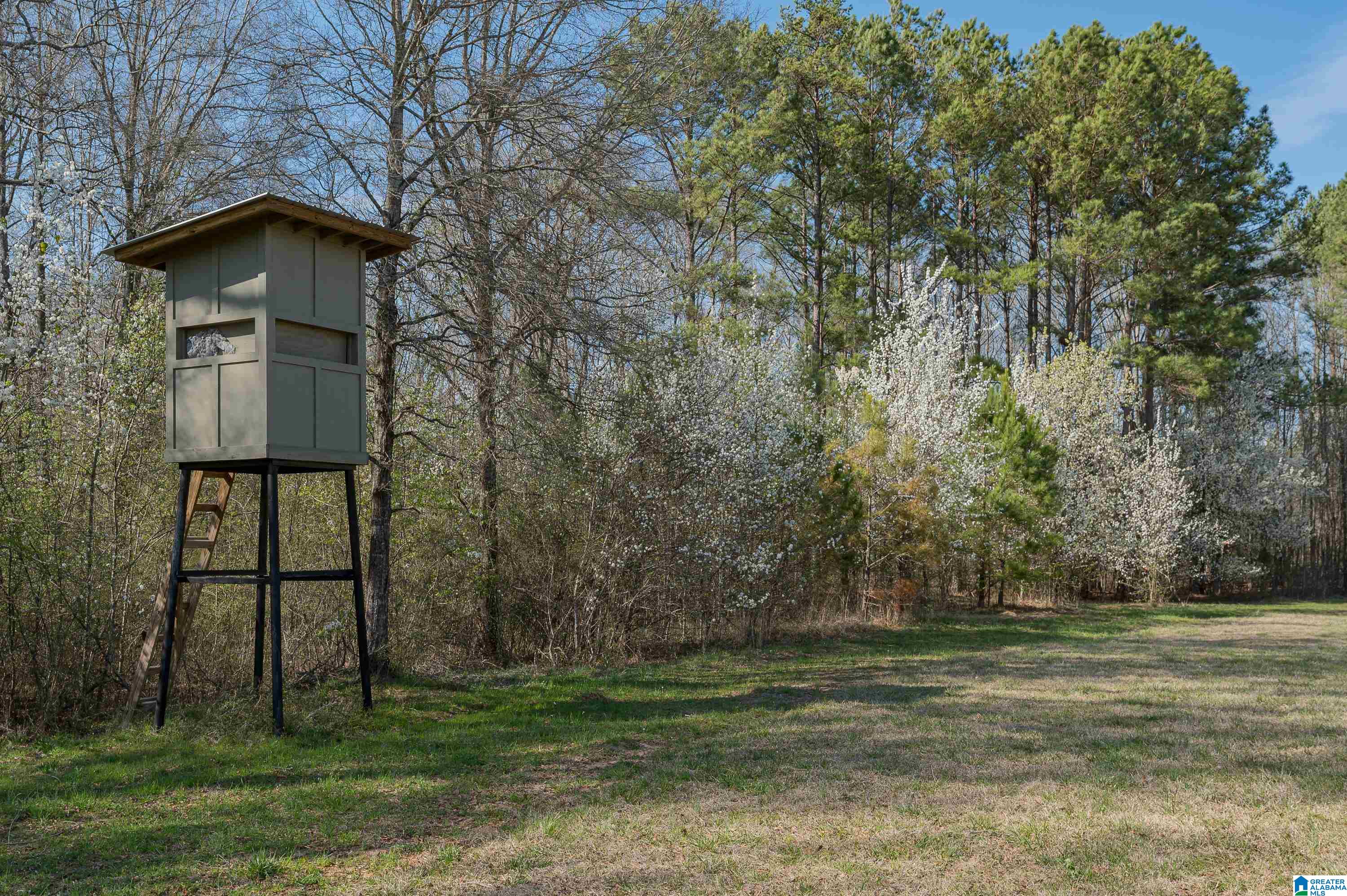 881 Sun Valley Road Harpersville, AL 35078 - Photo 33 of 33