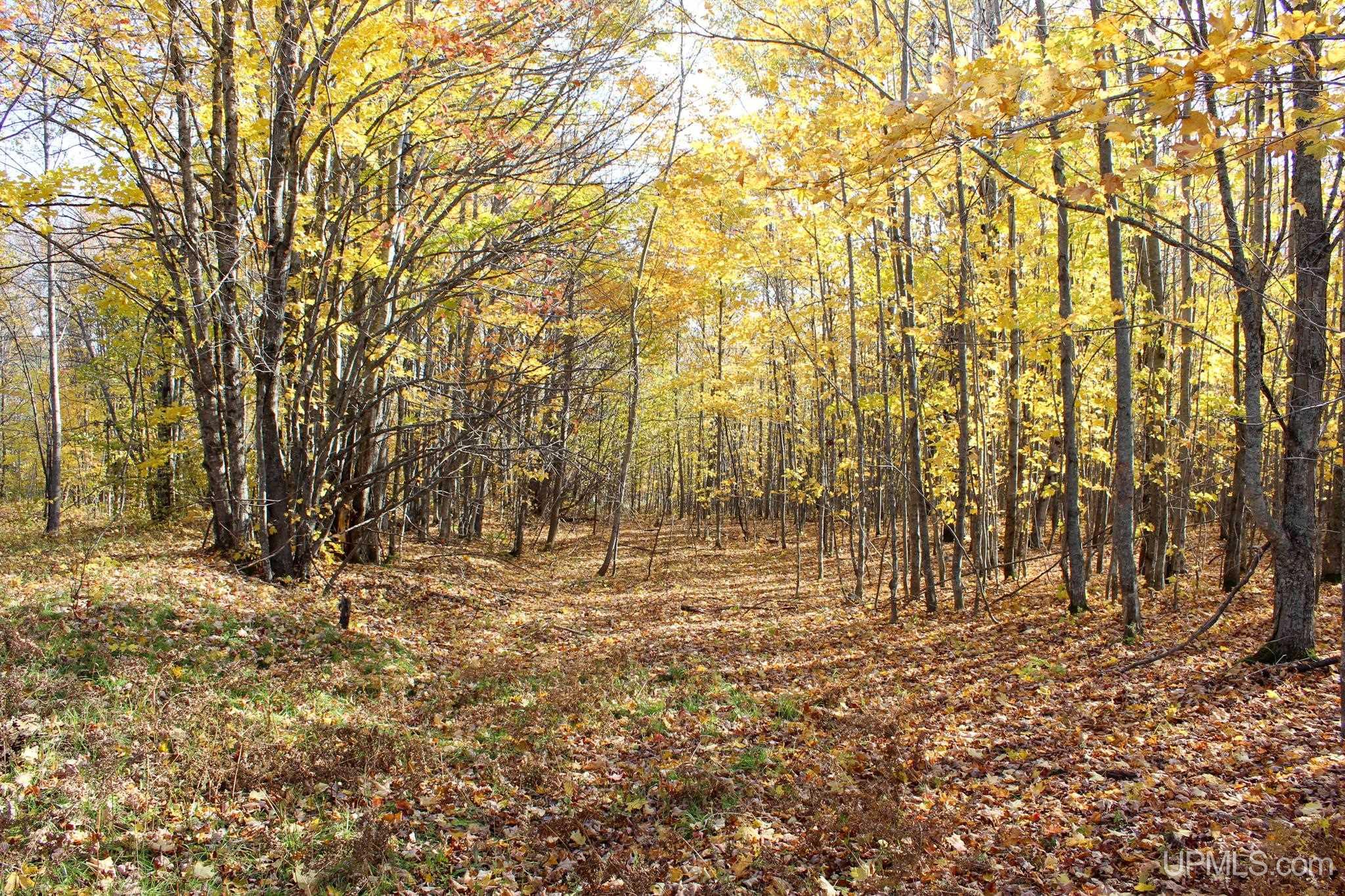 Tbd Pike River Road Chassell, MI 49916 - Photo 13 of 57 Gallery Image 13
