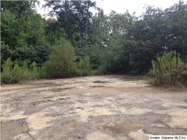 831 Old Grants Mill Road Birmingham, AL 35210 - Photo 2 of 4