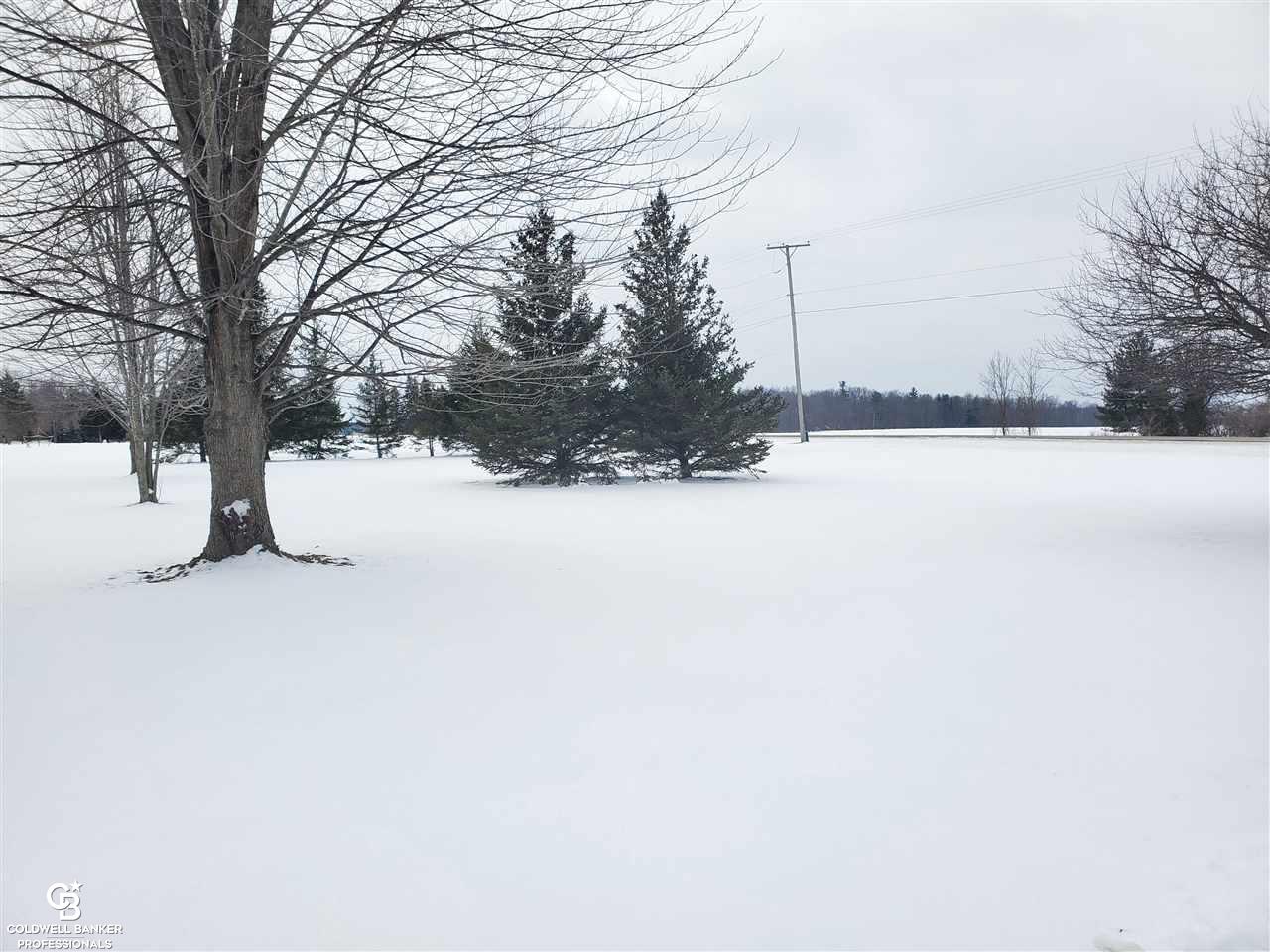 5656 Capac Road Capac, MI 48014 - Photo 25 of 28 Frontyard