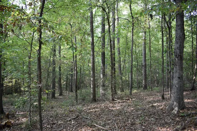 a view of outdoor space and green space