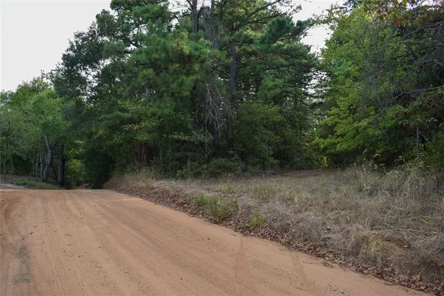 a view of a dirt road with trees in the background