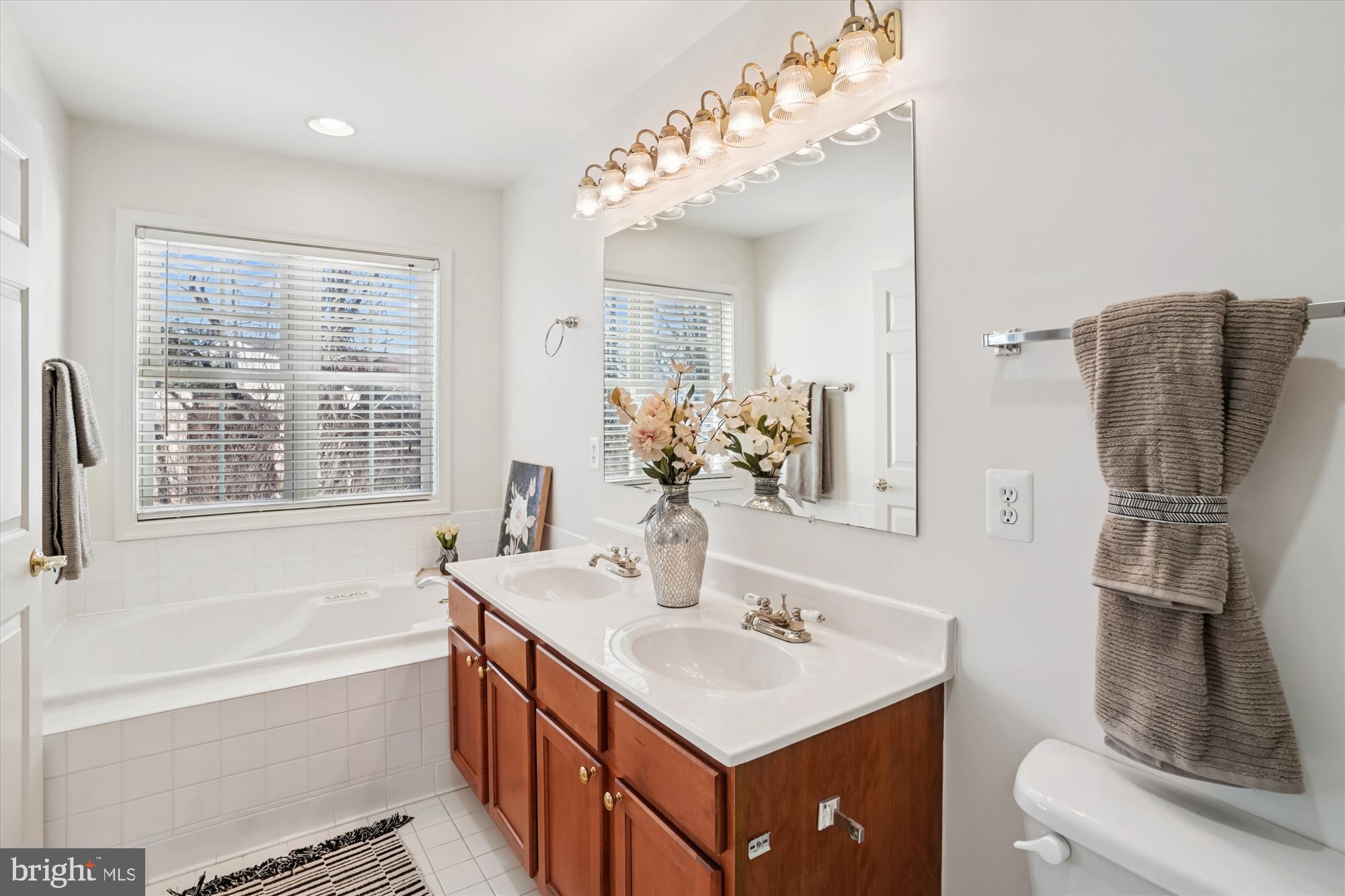 796 Col Edmonds Court Warrenton, VA 20186 - Photo 31 of 47 a bathroom with a sink a bathtub a mirror a vanity and a shower