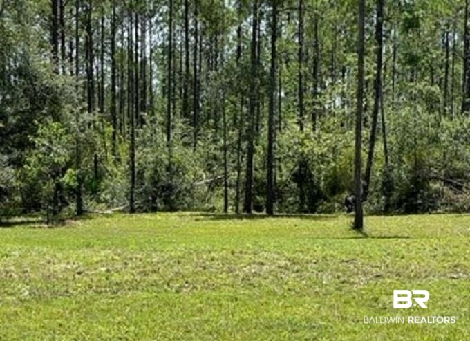 18676 Greek Cemetery Road Robertsdale, AL 36567 - Photo 5 of 12