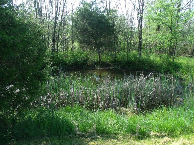 2 Hoophole Road Lawrenceburg, KY 40342 - Photo 3 of 25 Photo 3