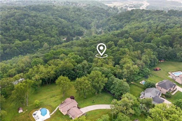 a view of a forest with a street sign
