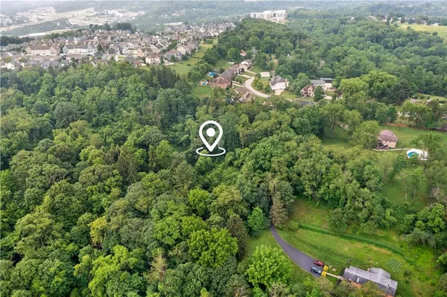 a view of a garden with a bench