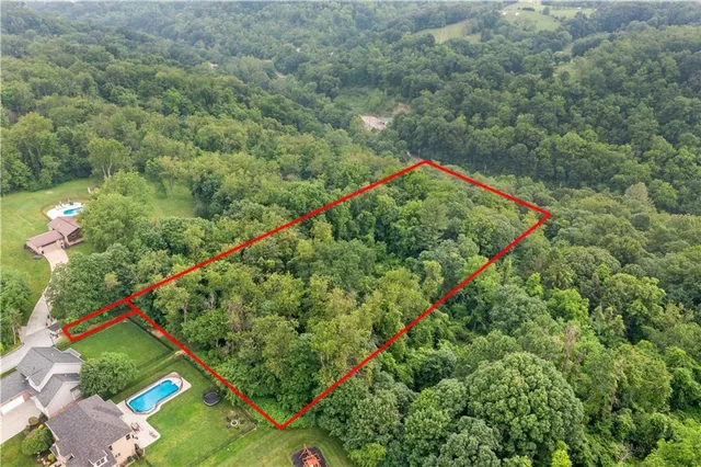 a view of a city with lush green forest