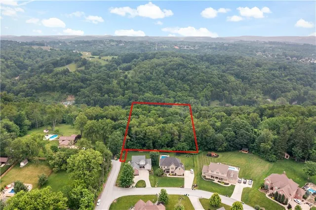 a view of a yard with a tree