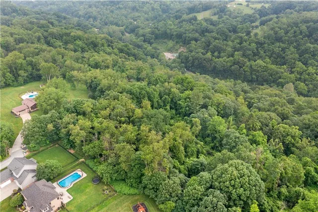 a view of a lake in middle of forest