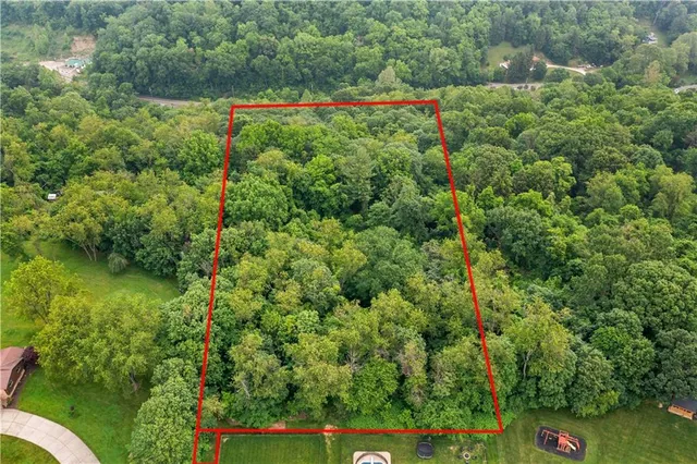 a view of a lush green forest with lots of trees