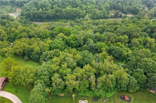 a view of a forest with a street