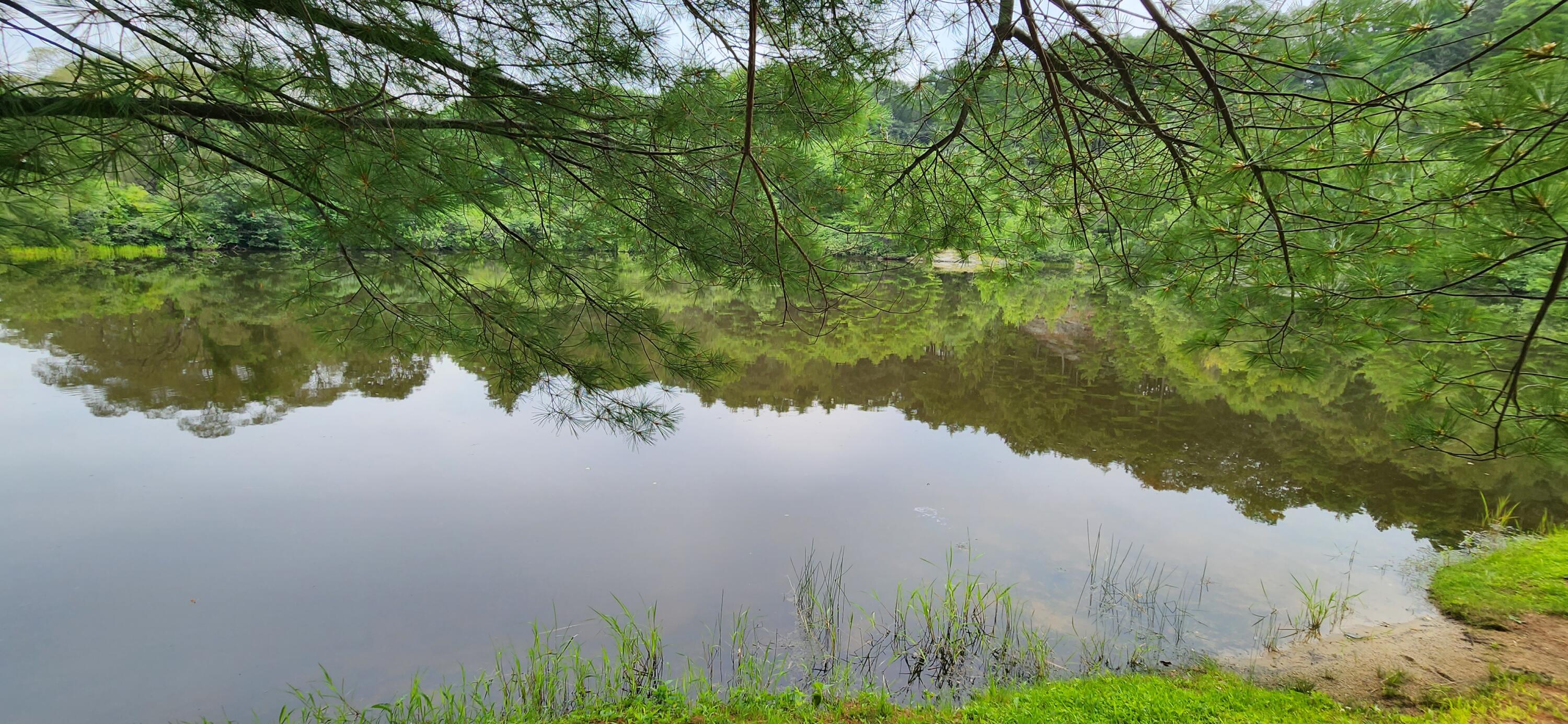 25 Spring View Lane, Unit 1 Bath, ME 04530 - Photo 13 of 55 20230807_111035