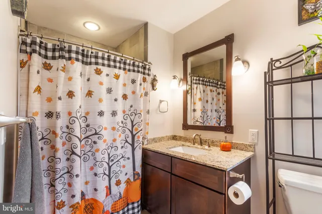 a bathroom with a granite countertop sink toilet a mirror and shower curtain