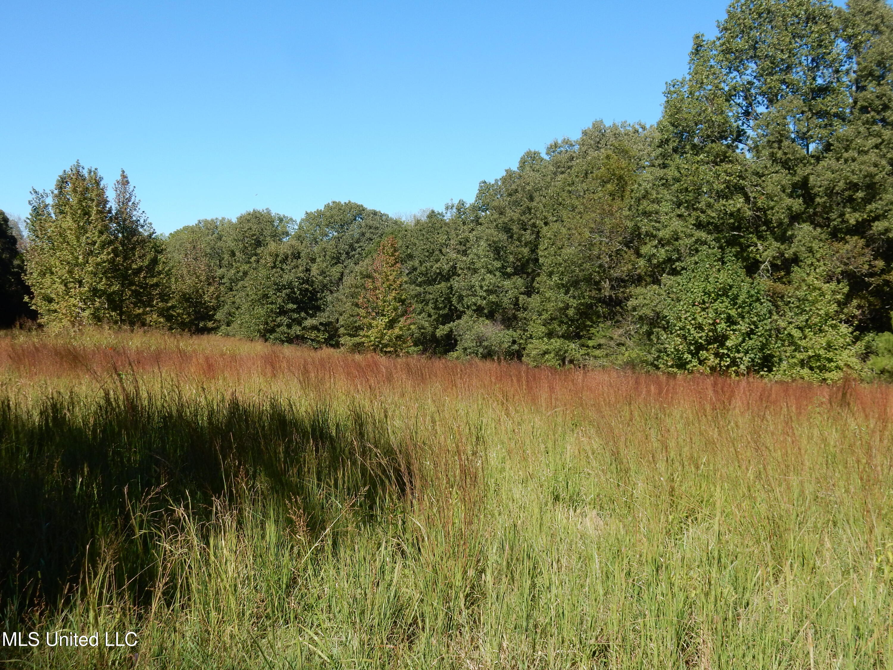 Lot 5 North Crockett Road Senatobia, MS 38668 - Photo 2 of 3 DSCN3179
