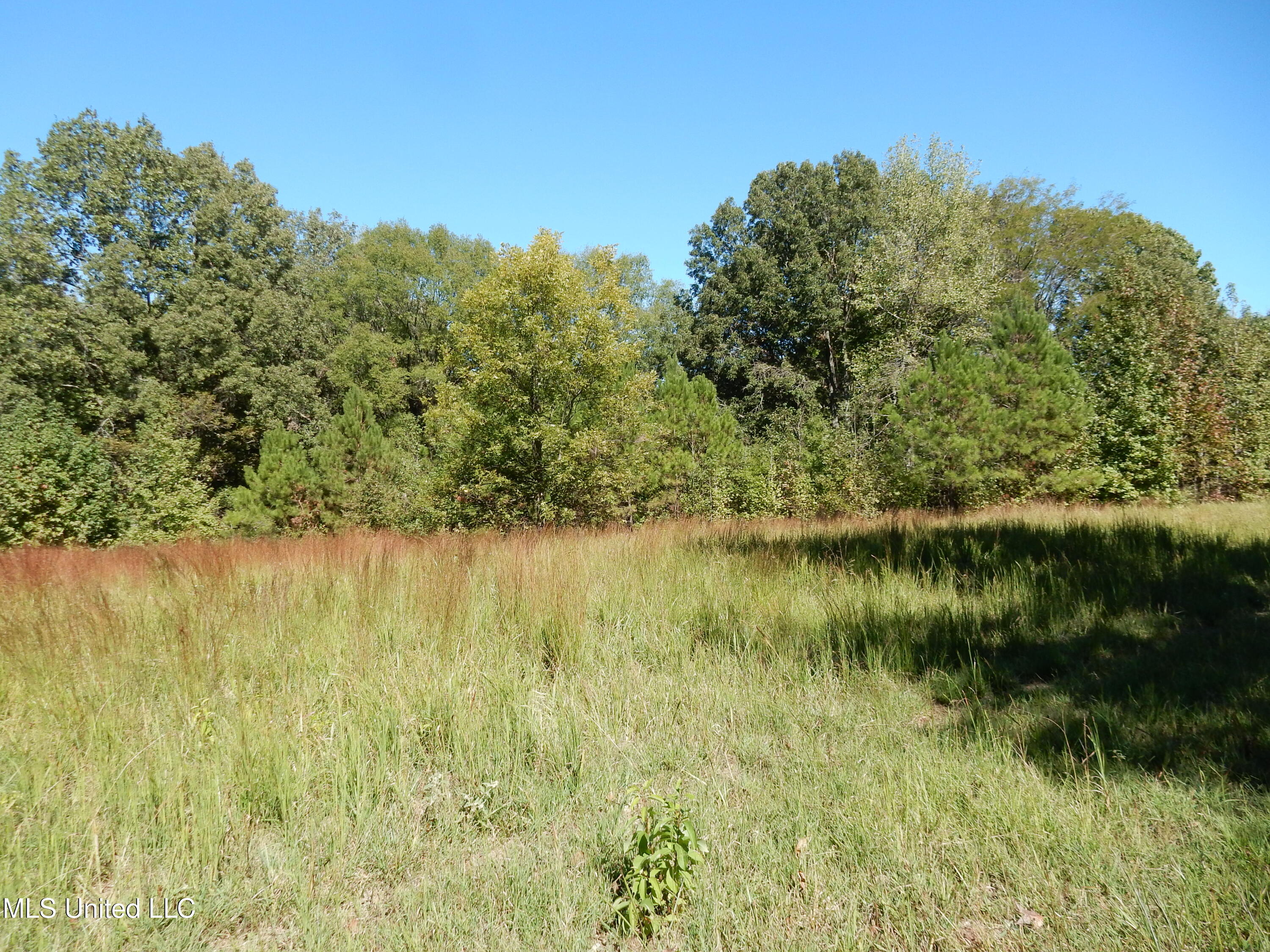 Lot 5 North Crockett Road Senatobia, MS 38668 - Photo 3 of 3 DSCN3178