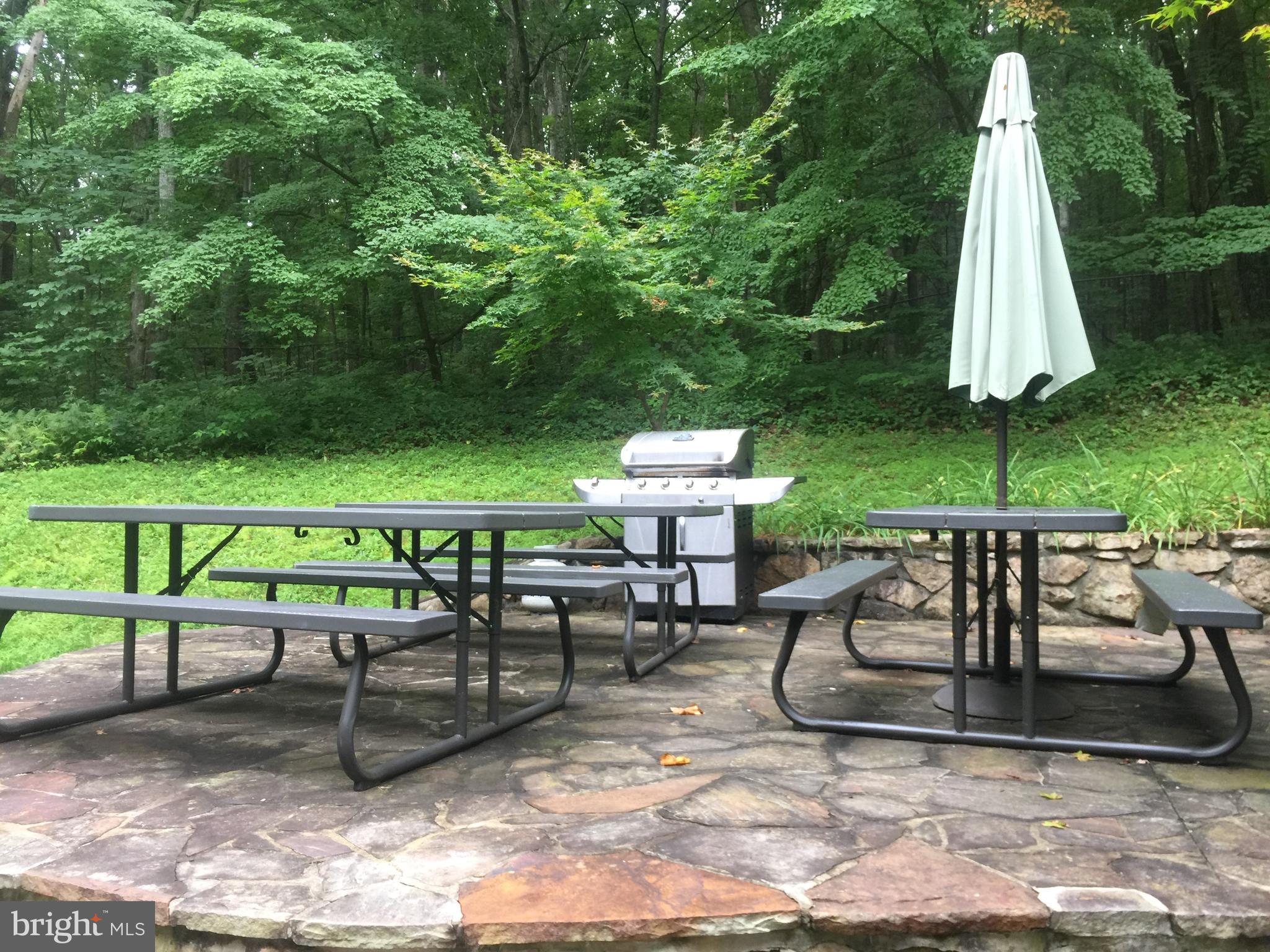 605 Mountainside Road Berkeley Springs, WV 25411 - Photo 36 of 42