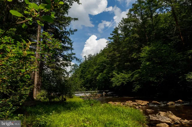 a big yard with lots of green space and trees
