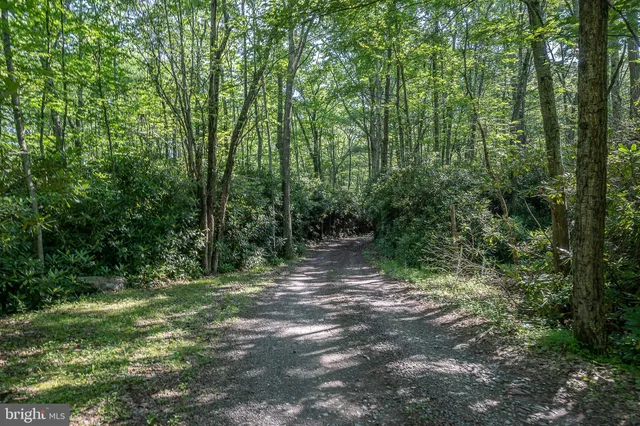 a big yard with lots of green space and plants