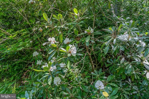 $925,000 | 614 Graystones Jeras Road, Jim Thorpe, PA 18229