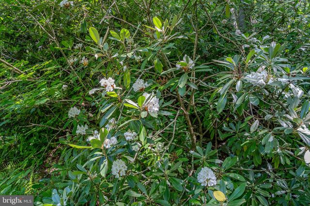 $925,000 | 614 Graystones Jeras Road, Jim Thorpe, PA 18229