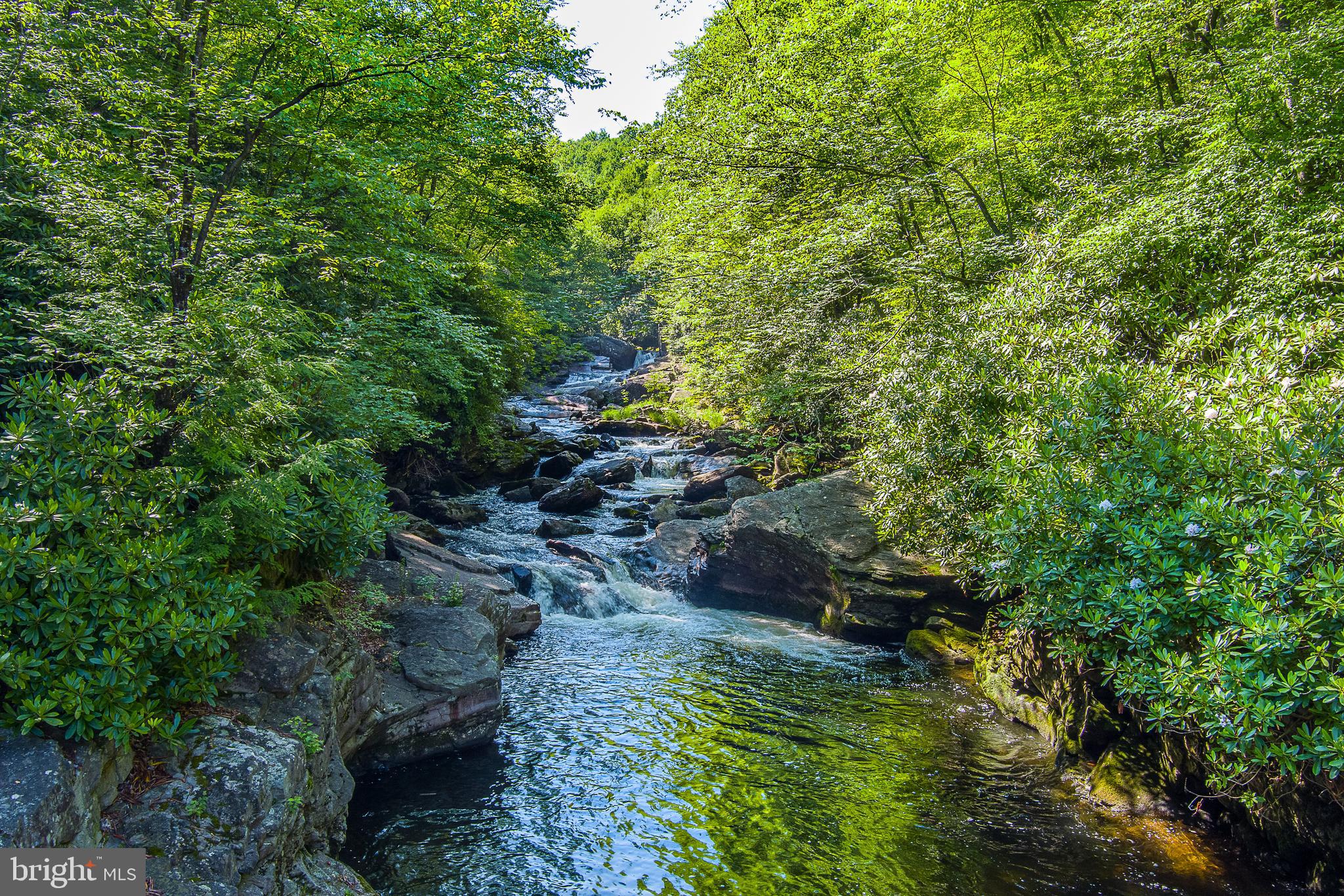 614 Graystones Jeras Road Jim Thorpe, PA 18229 - Photo 18 of 19 a backyard of a house with lots of green space