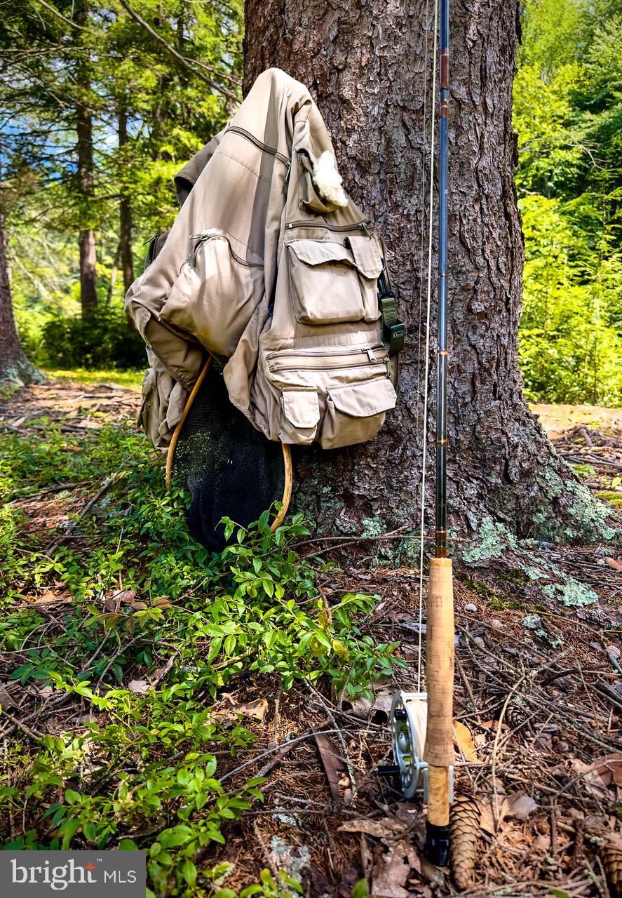 614 Graystones Jeras Road Jim Thorpe, PA 18229 - Photo 3 of 19