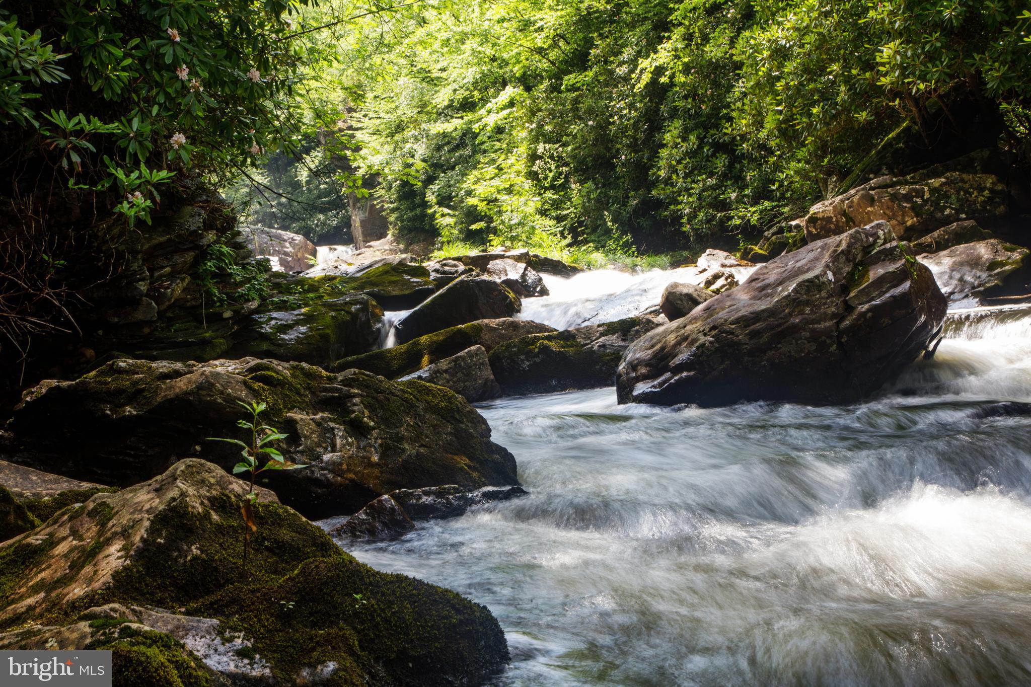 614 Graystones Jeras Road Jim Thorpe, PA 18229 - Photo 9 of 19 a view of some trees in a yard