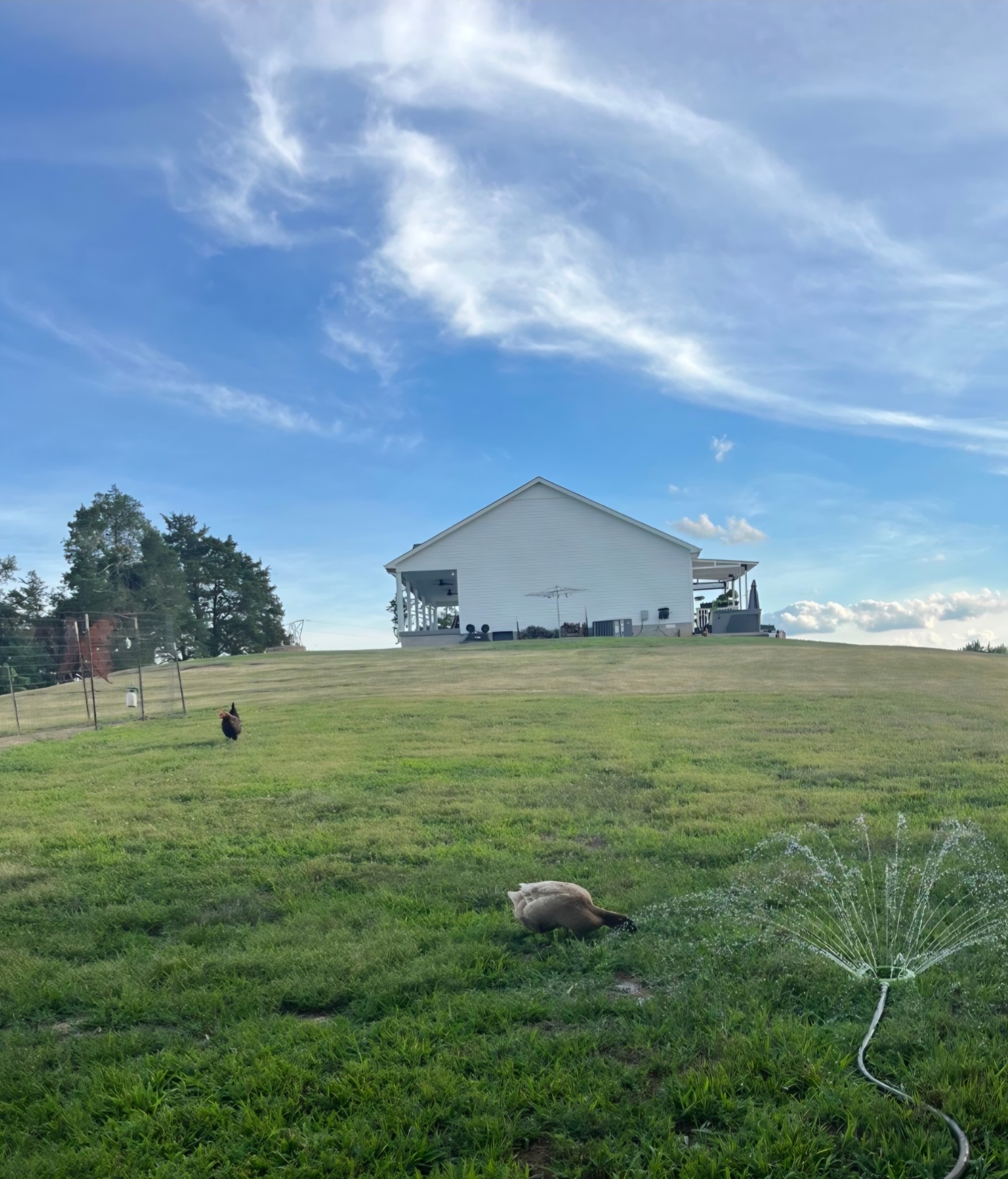 4 Lewis James Lane Riddleton, TN 37151 - Photo 62 of 62 Gallery Image 62