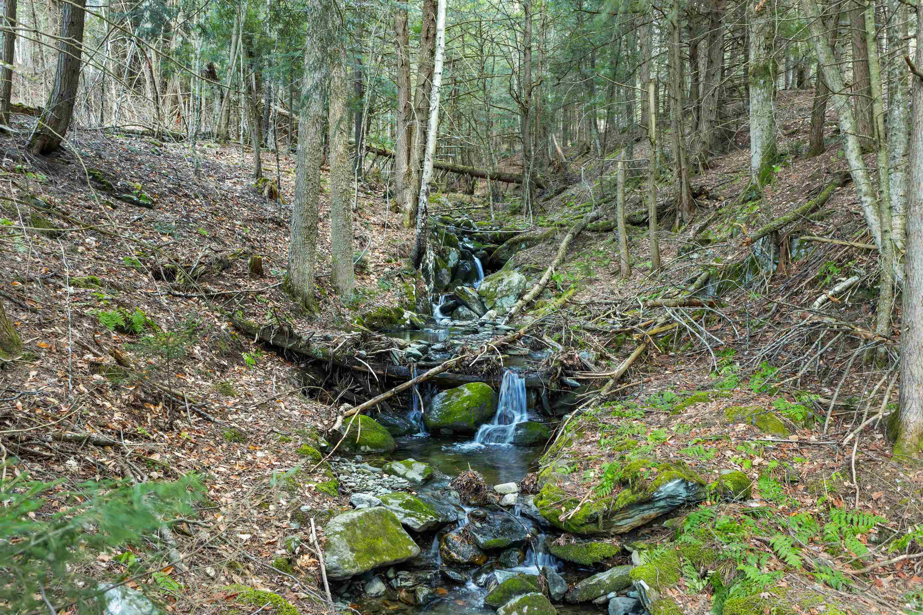 290 Wood Farm Road Waterbury, VT 05677 - Photo 50 of 60 Gallery Image 50