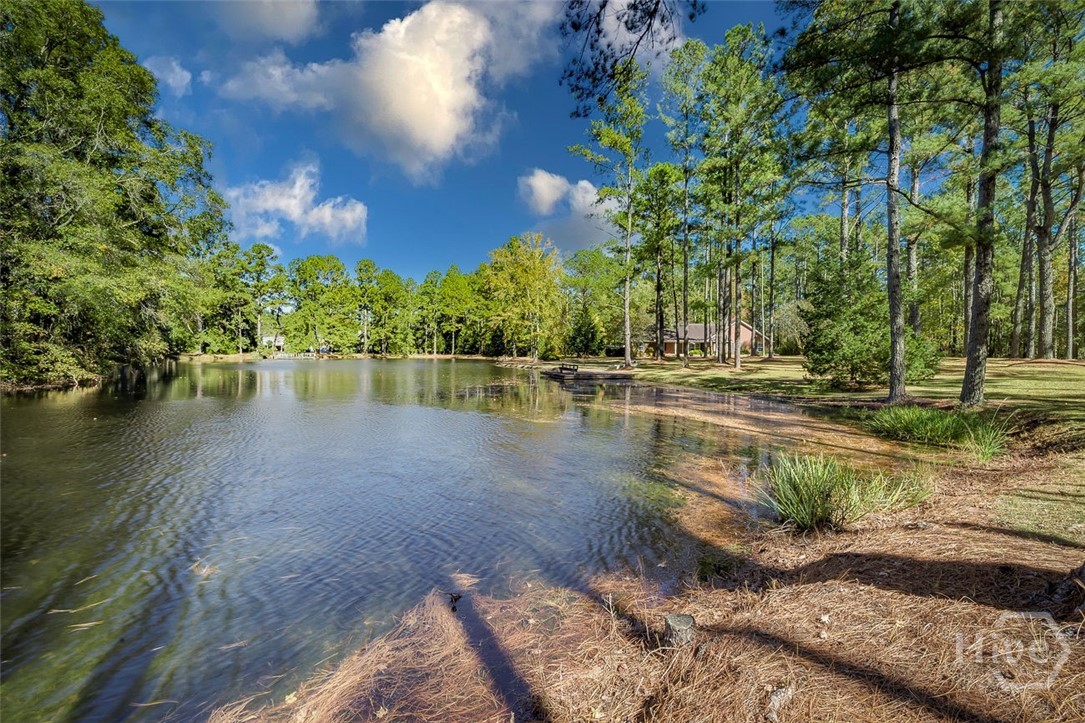 4414 Blue Jay Road Guyton, GA 31312 - Photo 43 of 49