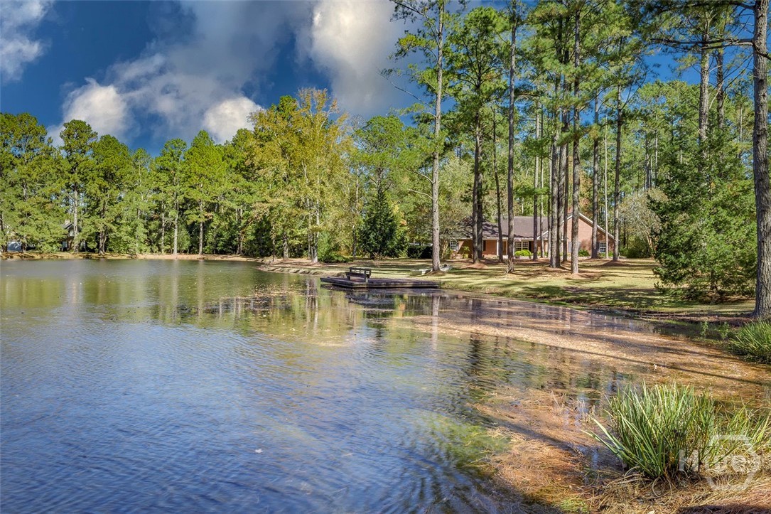 4414 Blue Jay Road Guyton, GA 31312 - Photo 44 of 49