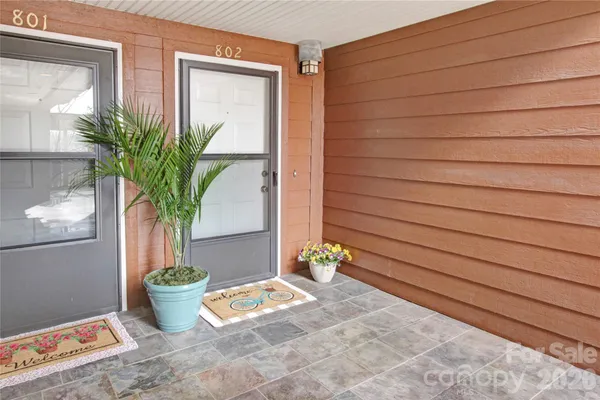 a potted plant sitting in front of a house