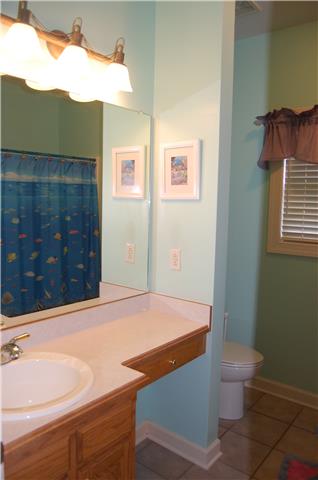 2394 Pleasant View Road Pleasant View, TN 37146 - Photo 14 of 19 Hall bathroom with knee space area