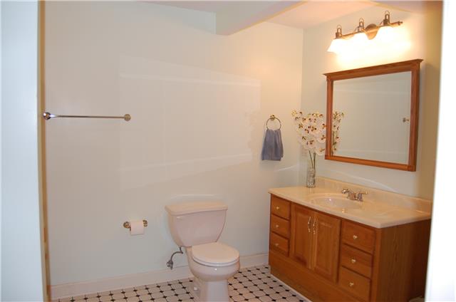 2394 Pleasant View Road Pleasant View, TN 37146 - Photo 19 of 19 Large full bath in basement with walk in closet right off of it.