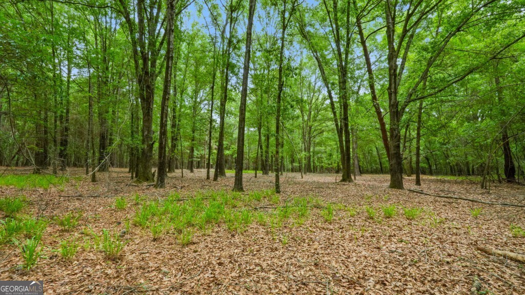 0 River Road Waynesboro, GA 30830 - Photo 19 of 37