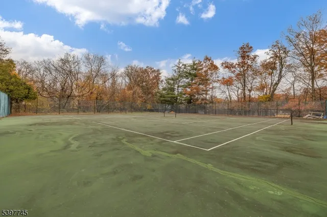 a view of a tennis ground with large trees