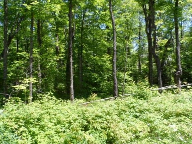 Lot 4 Forest Road Marenisco, MI 49947 - Photo 8 of 9 Gallery Image 8